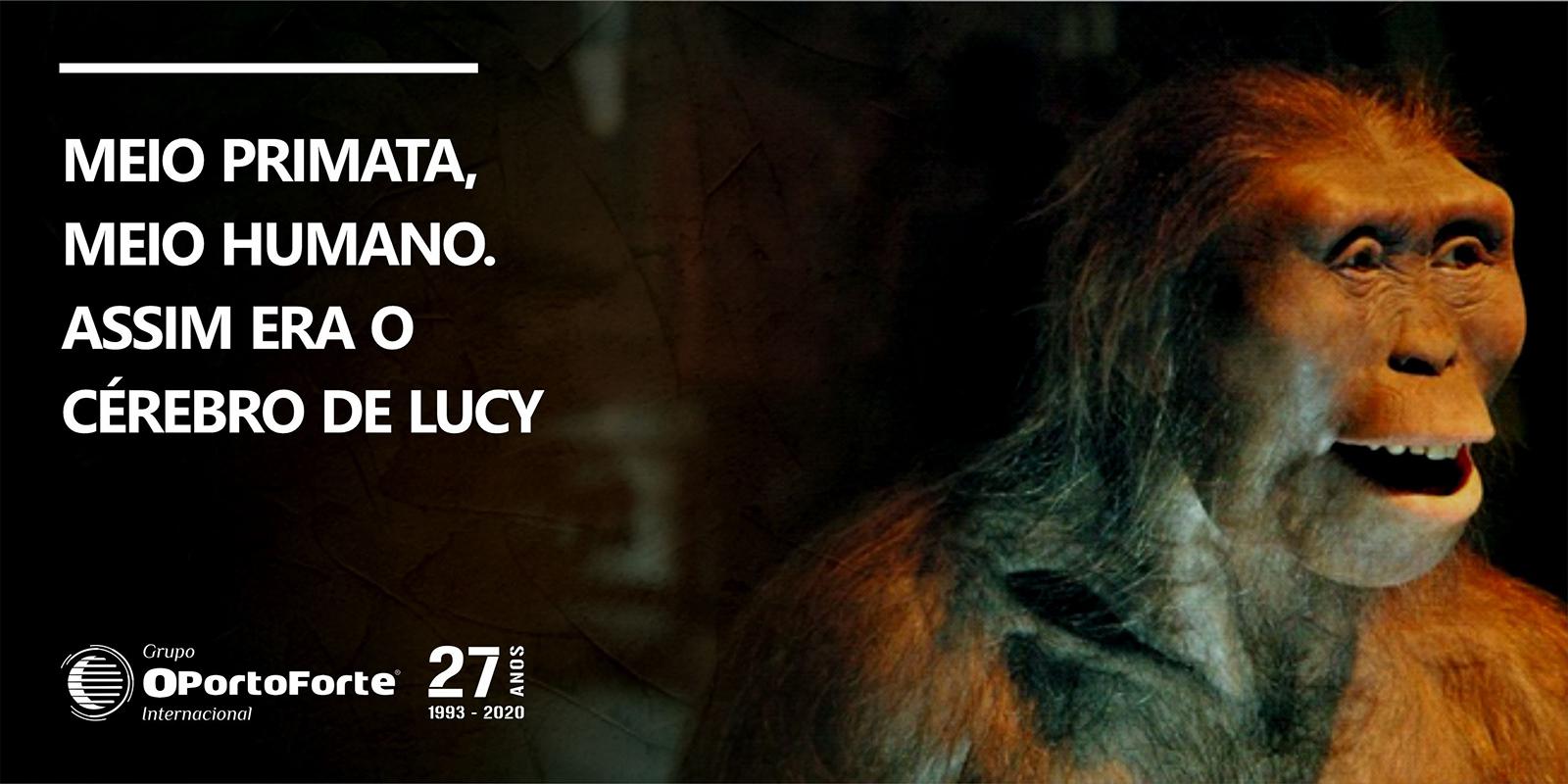 Meio primata, meio humano. Assim era o cérebro de Lucy