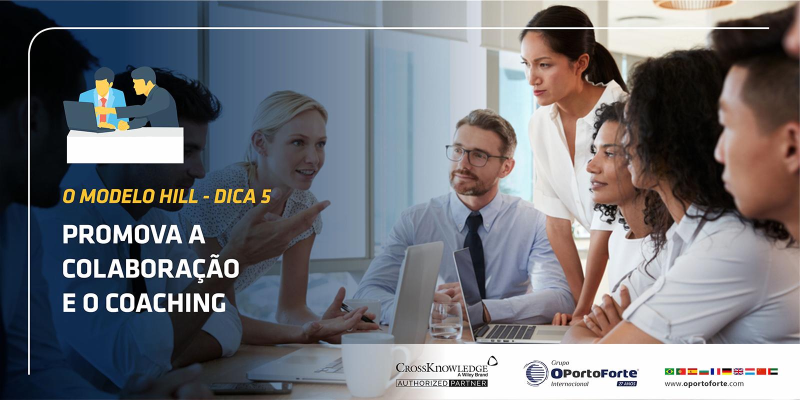 O Modelo HILL – Dica 5