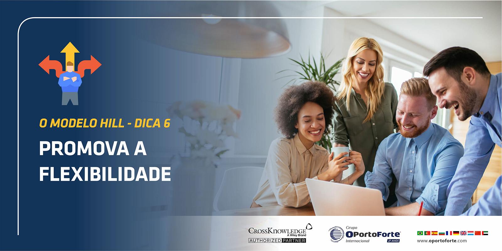 O Modelo HILL – Dica 6 