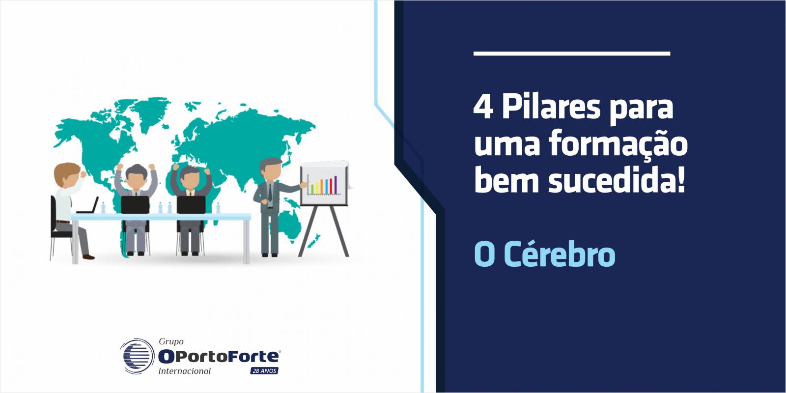 O Cérebro